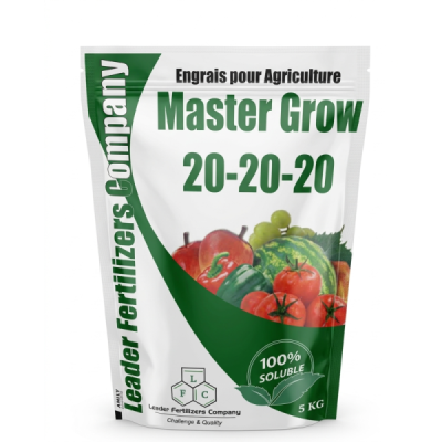 Master 20/20/20  1 kg
