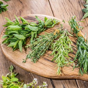 Plantes aromatiques