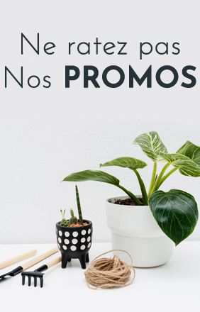 Nos Promos